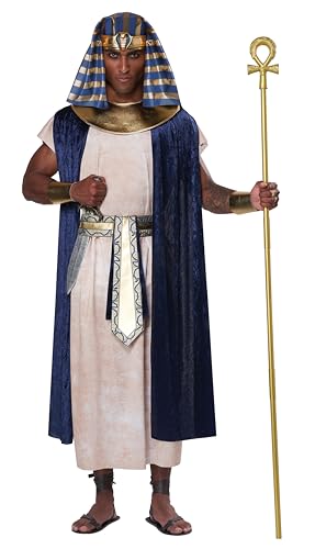 California Costumes Egyptian Tunic Costume for Adults, Large/X-Large