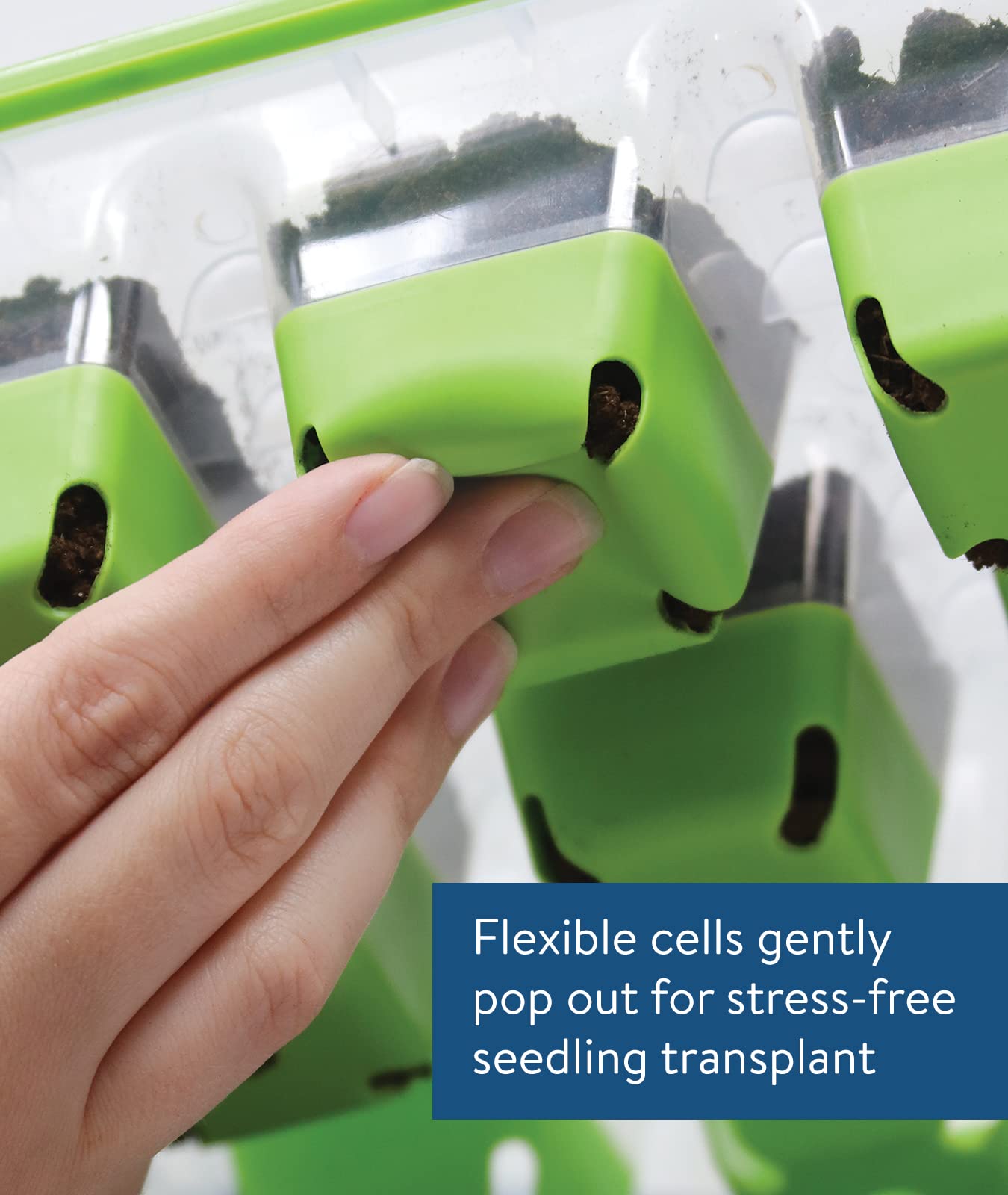 Burpee SuperSeed Seed Starting Tray | 16 XL Cell | Reusable & Dishwasher Safe | for Starting Vegetable Seeds, Flower Seeds & Herb Seeds | Indoor Grow Kit for Deep-Rooted Seedlings, Green