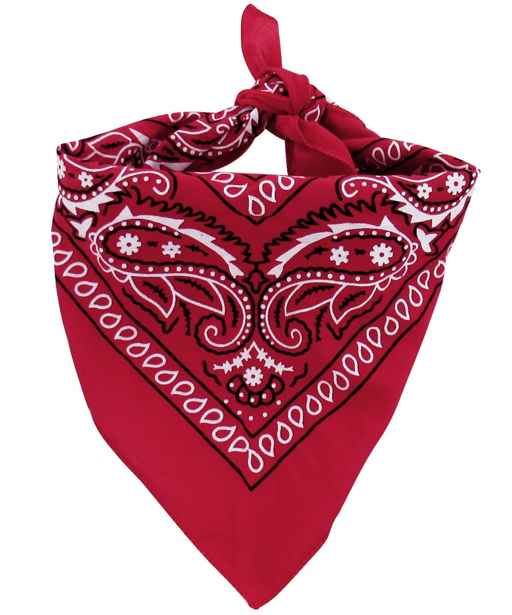 A&J DESIGN Halloween Baby Boys' Western Cowboy Romper Sets With Scarf And Hat Overall(0-6 Months, Brown)