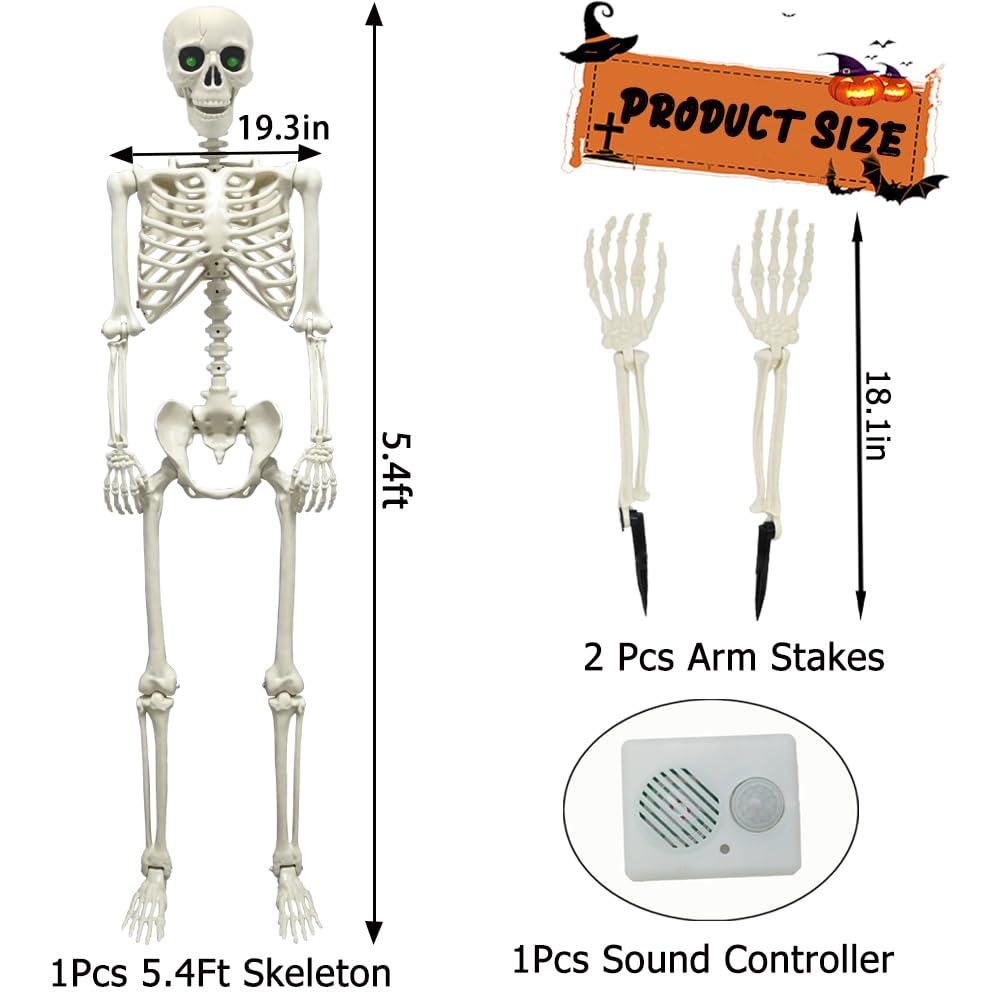 WODMAZ 5.4Ft Halloween Skeleton, Full Size Posable Skeleton with Glowing Eyes Creepy Sound, Full Body Life Size Skeleton and 2 Arm Stakes for Halloween Indoor Outdoor Haunted House Decorations