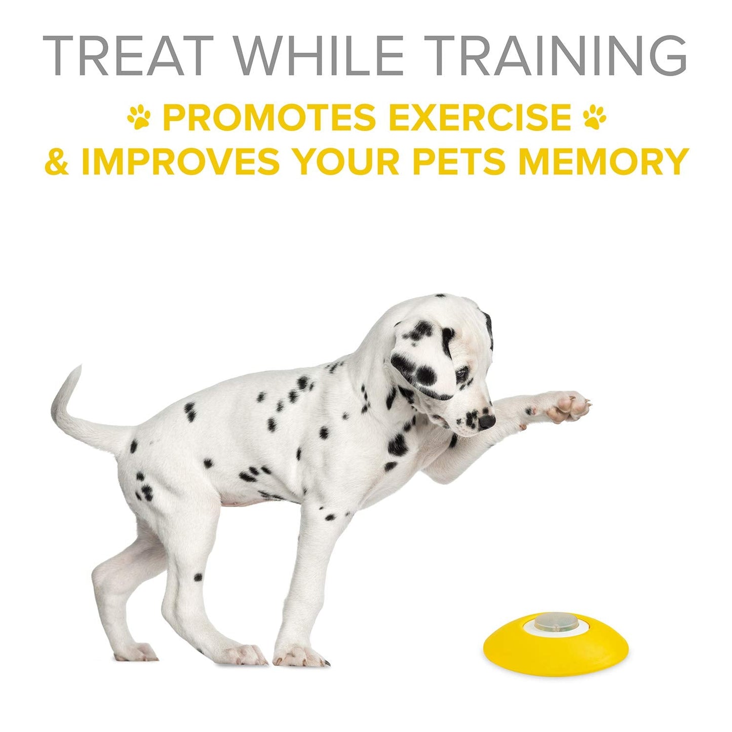 Arf Pets Dog Treat Dispenser with Remote Button – Dog Memory Training Activity Toy – Treat While Train, Promotes Exercise by Rewards, Improves Memory & Positive Training for A Healthier & Happier Pet
