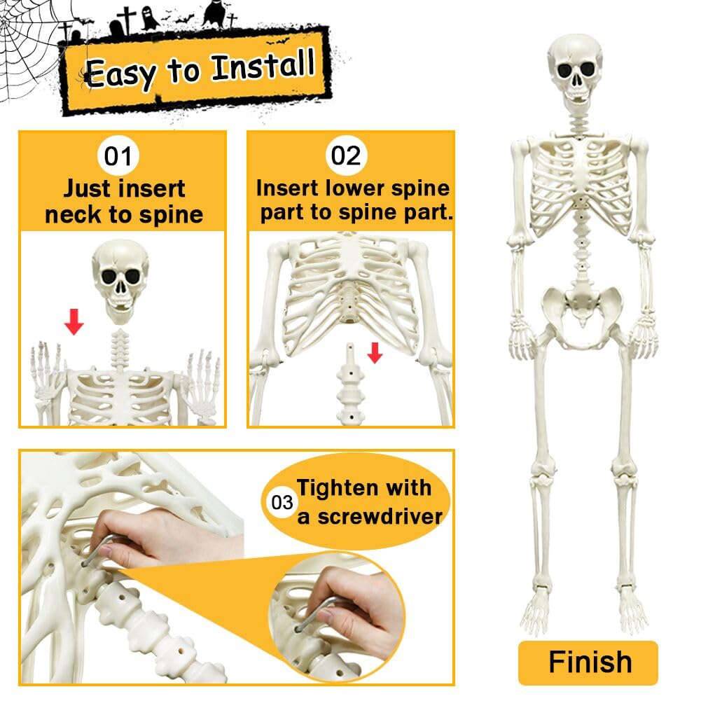 5.4ft/165cm Halloween Skeleton, Life Size Skeleton with Spider Pumpkin Bag, Full Body Human Bones with Movable Joints for Halloween Indoor Outdoor Haunted House Decorations