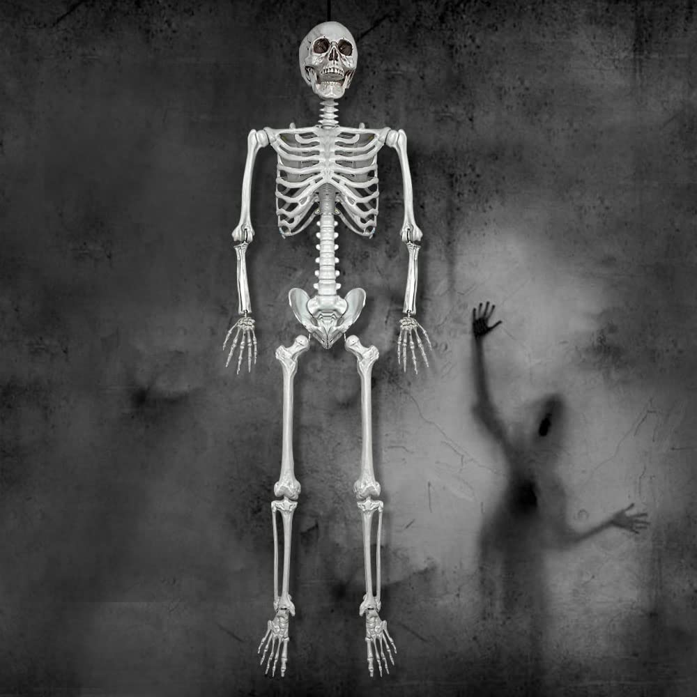 Wocst 5.4Ft/165cm Halloween Skeleton Full Body Life Size Human Bones with Movable Joints for Indoor Outdoor Halloween Props Decorations
