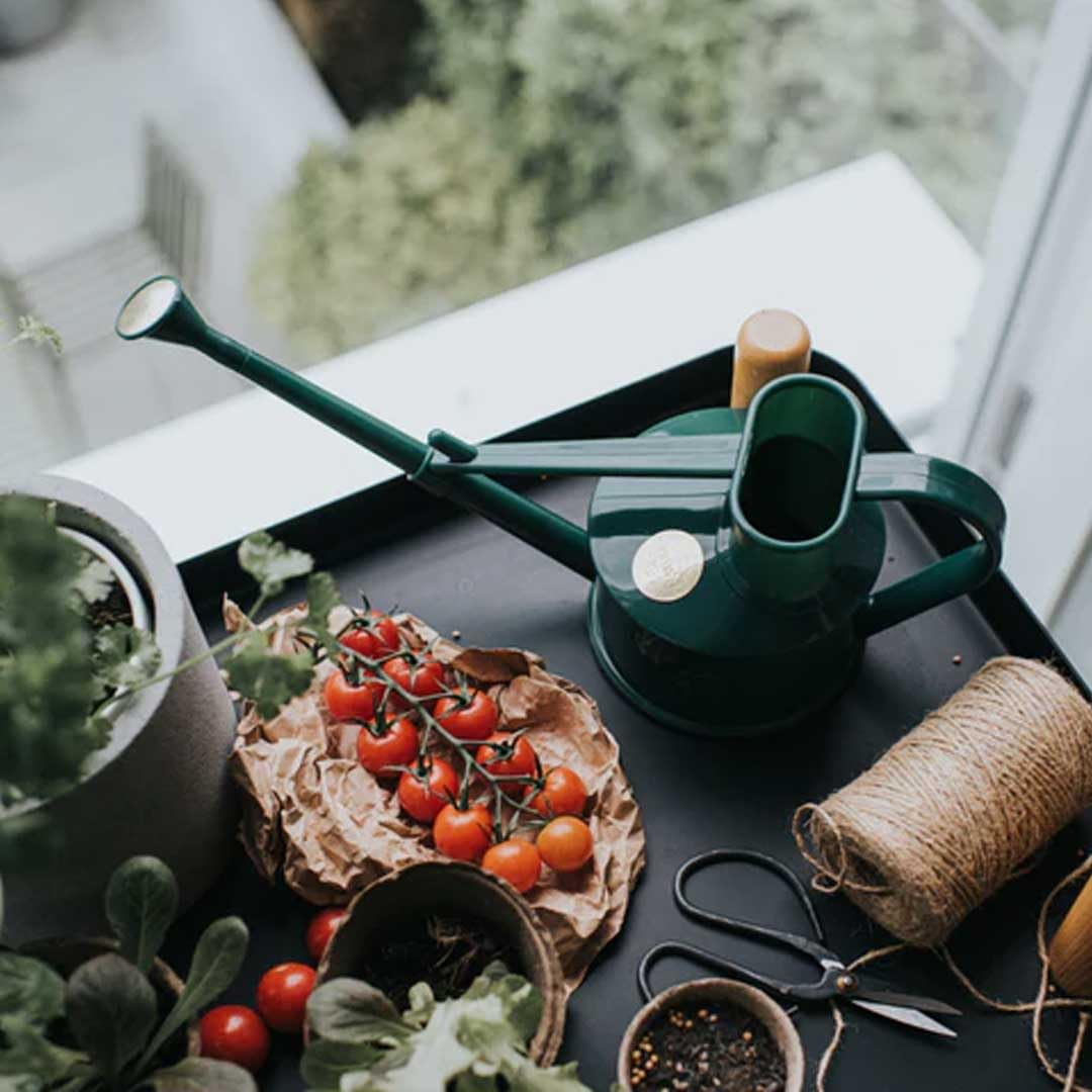 Indoor Plastic Watering Can | The HAWS Langley Sprinkler - One Pint | Pot Waterer | Fine Spray Rose | Recycled - Black