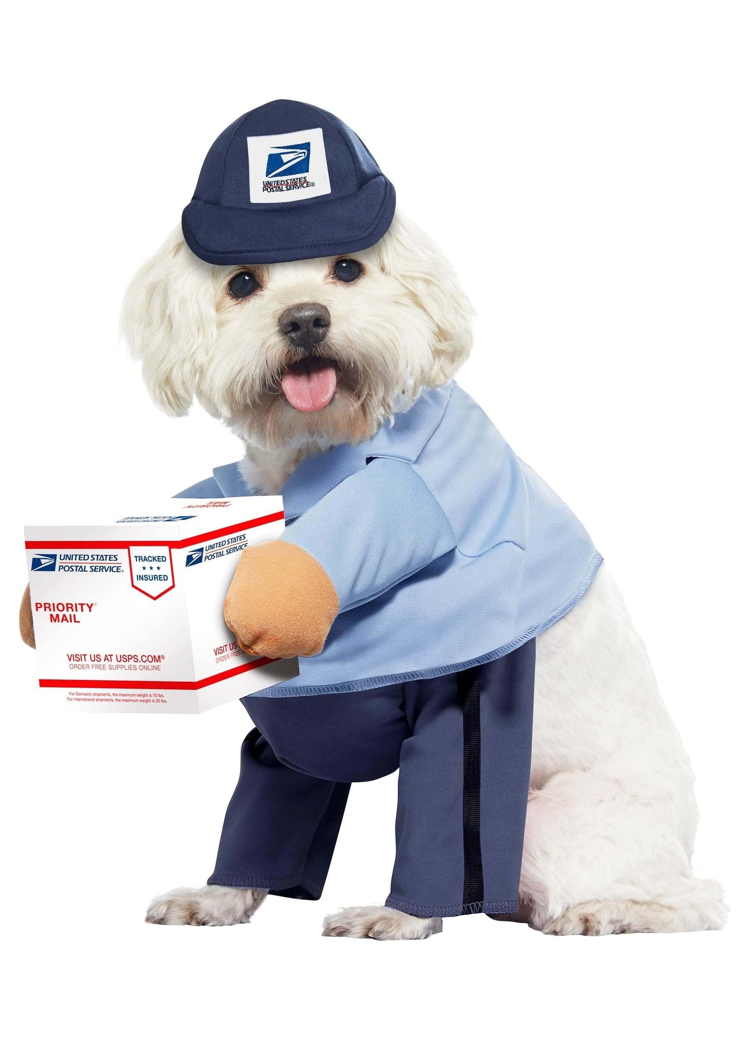 California Costumes Dog Mail Carrier Costume USPS Medium