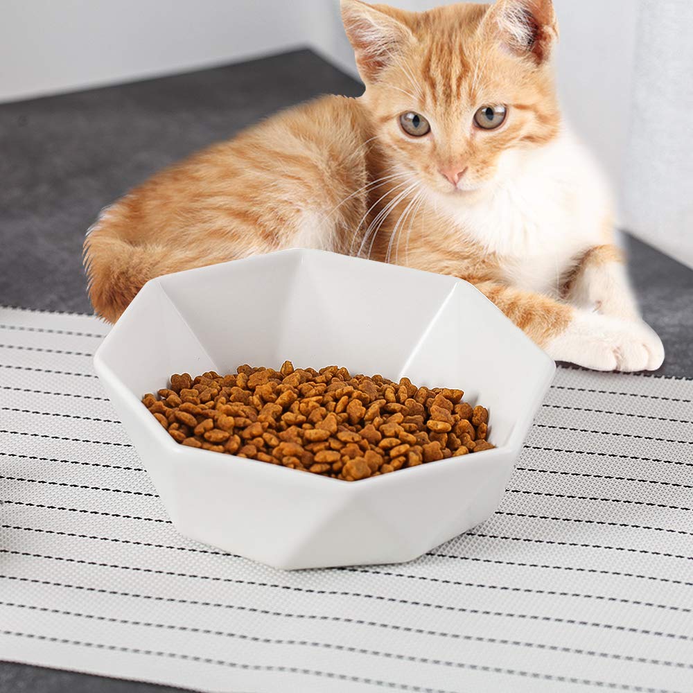 White Ceramic Tilted Cat Dog Bowl Cat Food Water Bowl Dish Pet Comfort Feeding Bowls