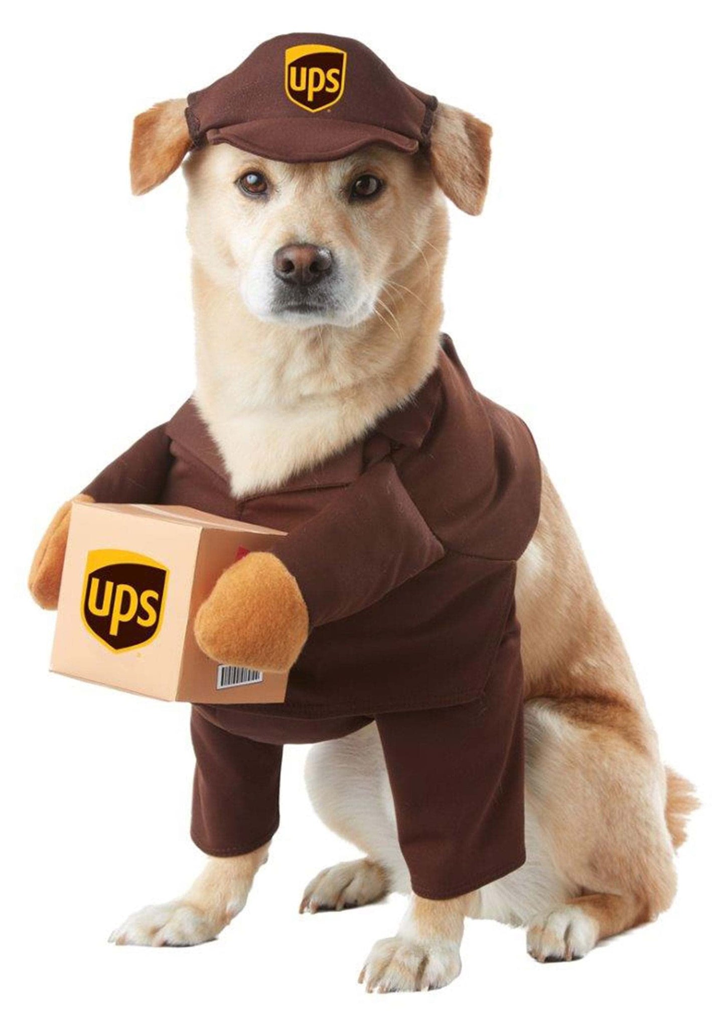 California Costumes UPS Dog Costume Large