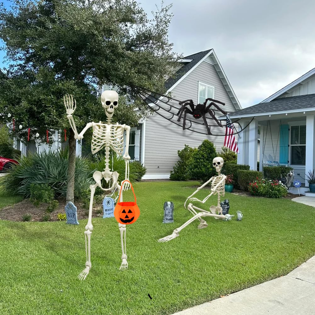 5.4ft/165cm Halloween Skeleton, Life Size Skeleton with Spider Pumpkin Bag, Full Body Human Bones with Movable Joints for Halloween Indoor Outdoor Haunted House Decorations