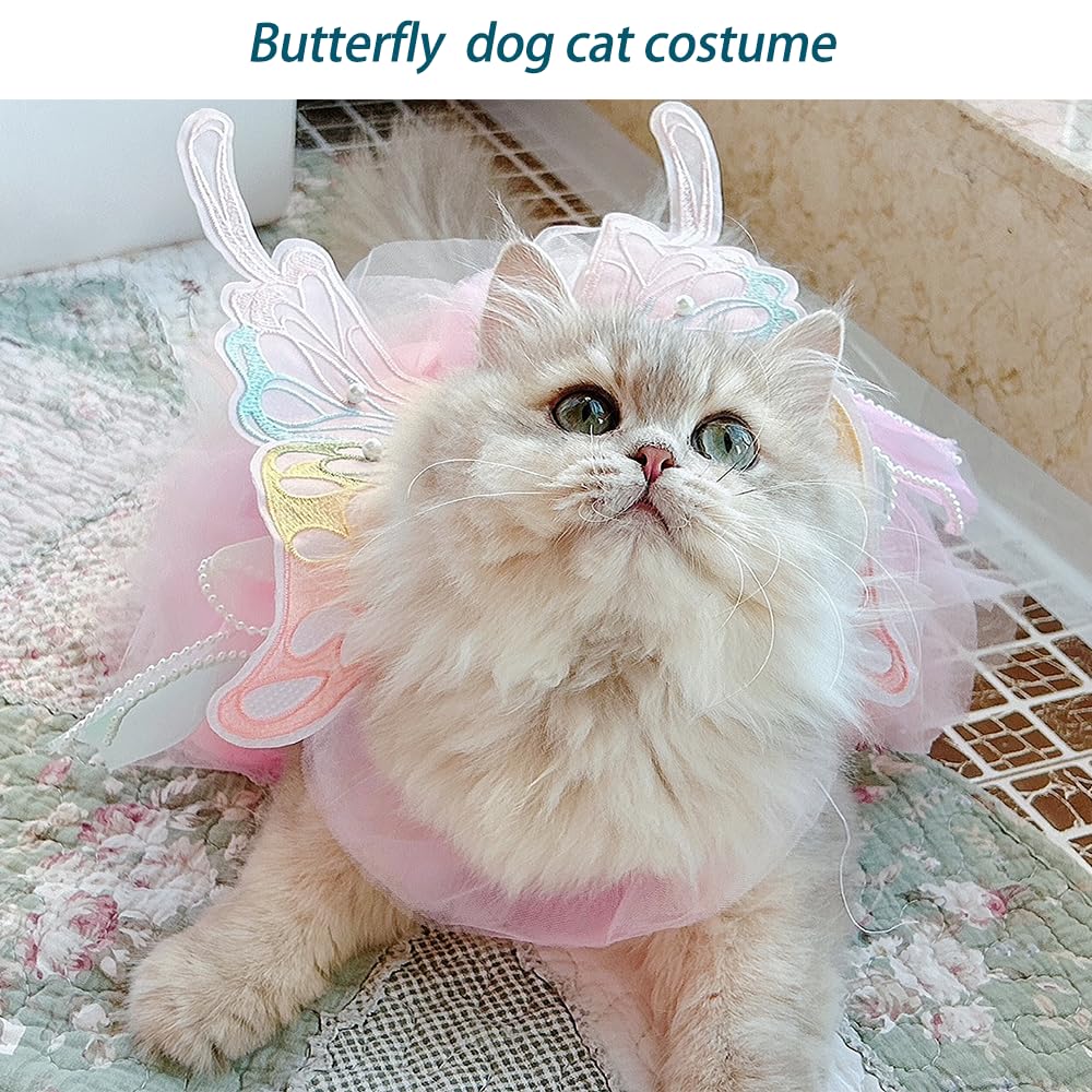 Anelekor Butterfly Dog Costume Pink Dog Dress with Leash Ring Lolita Puppy Clothes for Small Dog Girl Halloween Cat Outfit for Kitten Chihuahua Yorkie Pomeranian(Purple, Large)