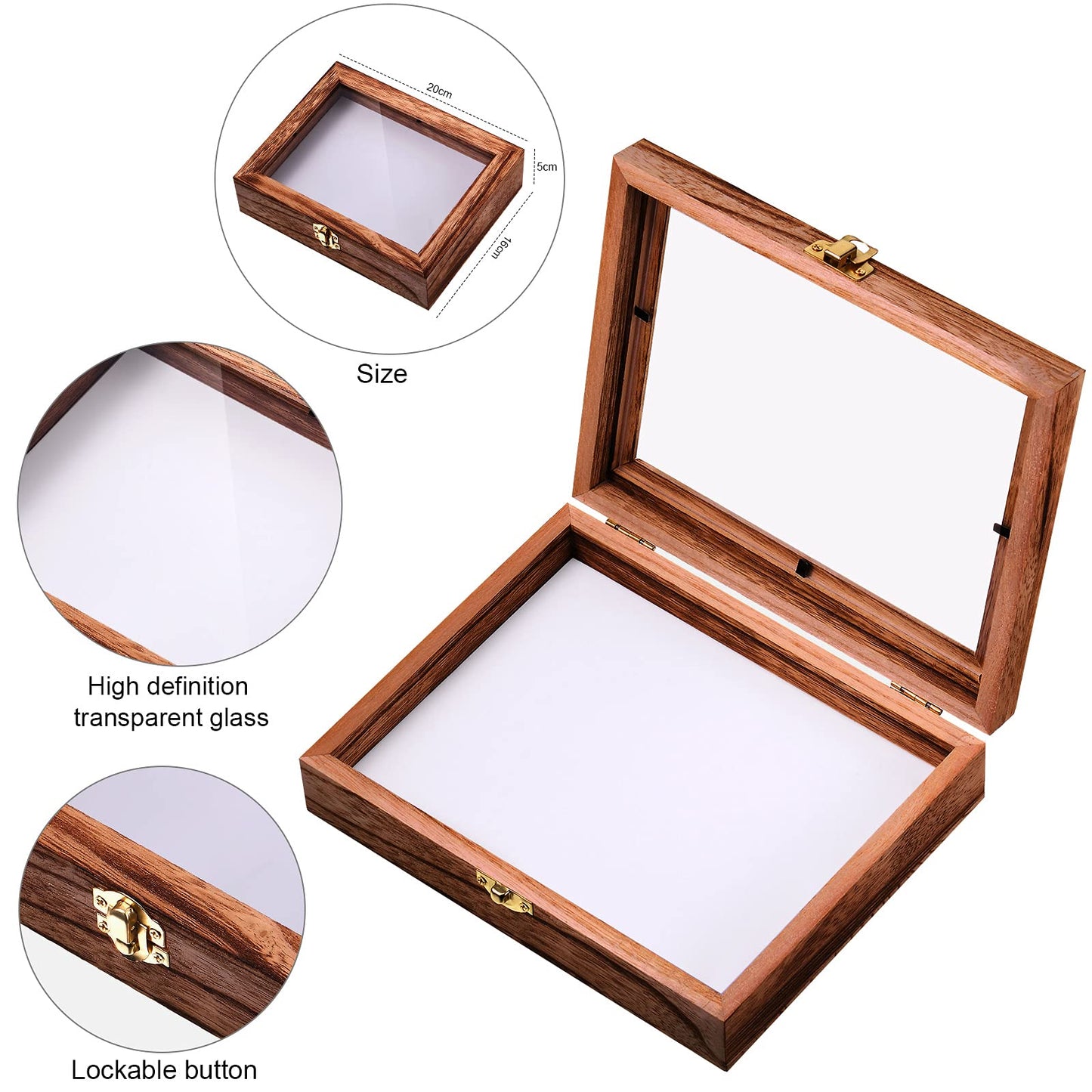 Insect Display Case Box Collection Box with Clear Top, EVA Foam Pinning Board and 100 Pieces Pins Insect Shadow Box Kit Entomology Supplies for Collecting Butterfly Specimen (Brown)