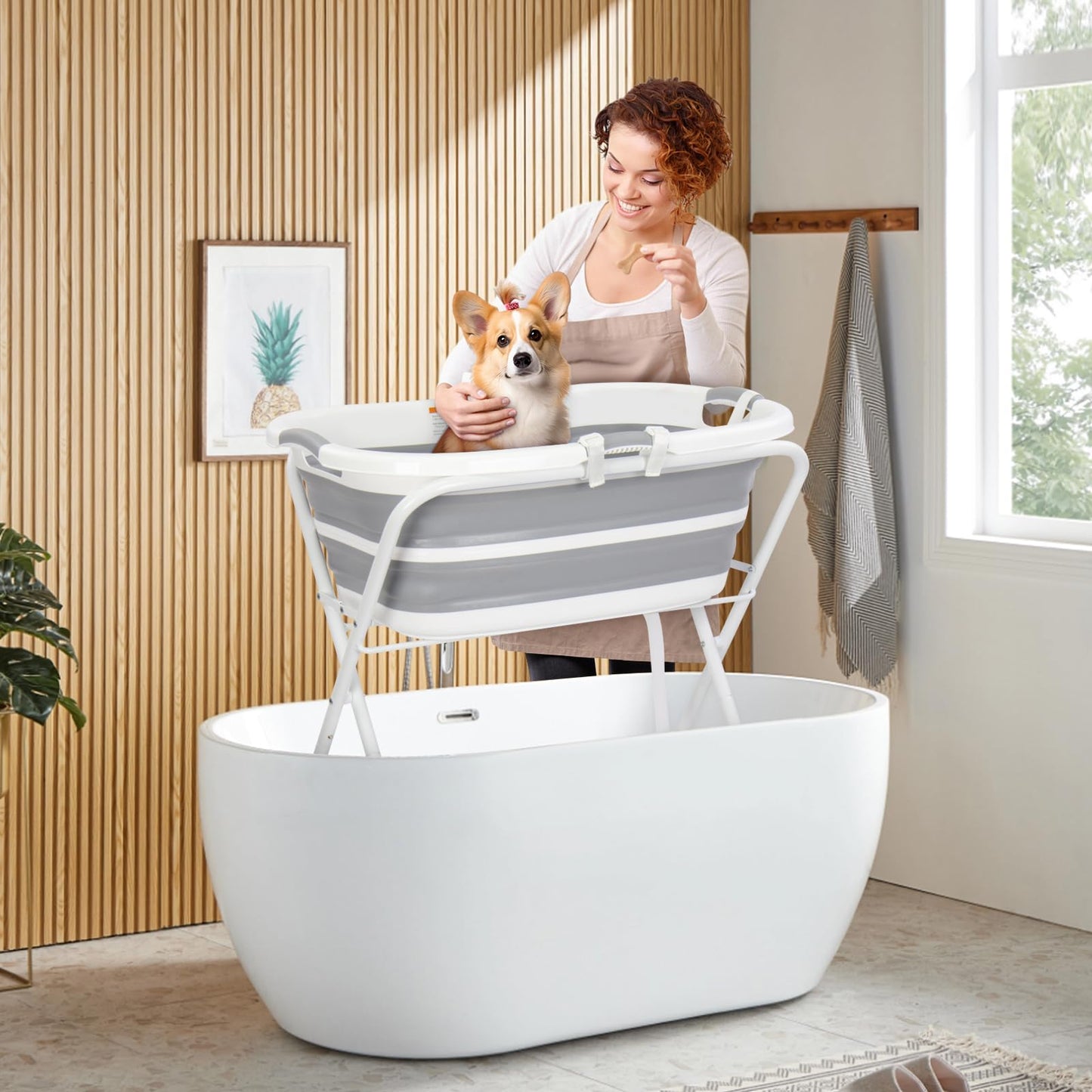 BEBEROAD PETS 2 in 1 Dog Bath Tub Dog Washing Station for Bathing and Grooming, Elevated Collapsible Foldable Portable Shower Bathtub for Small Dogs Cats Pet, Indoor and Outdoor
