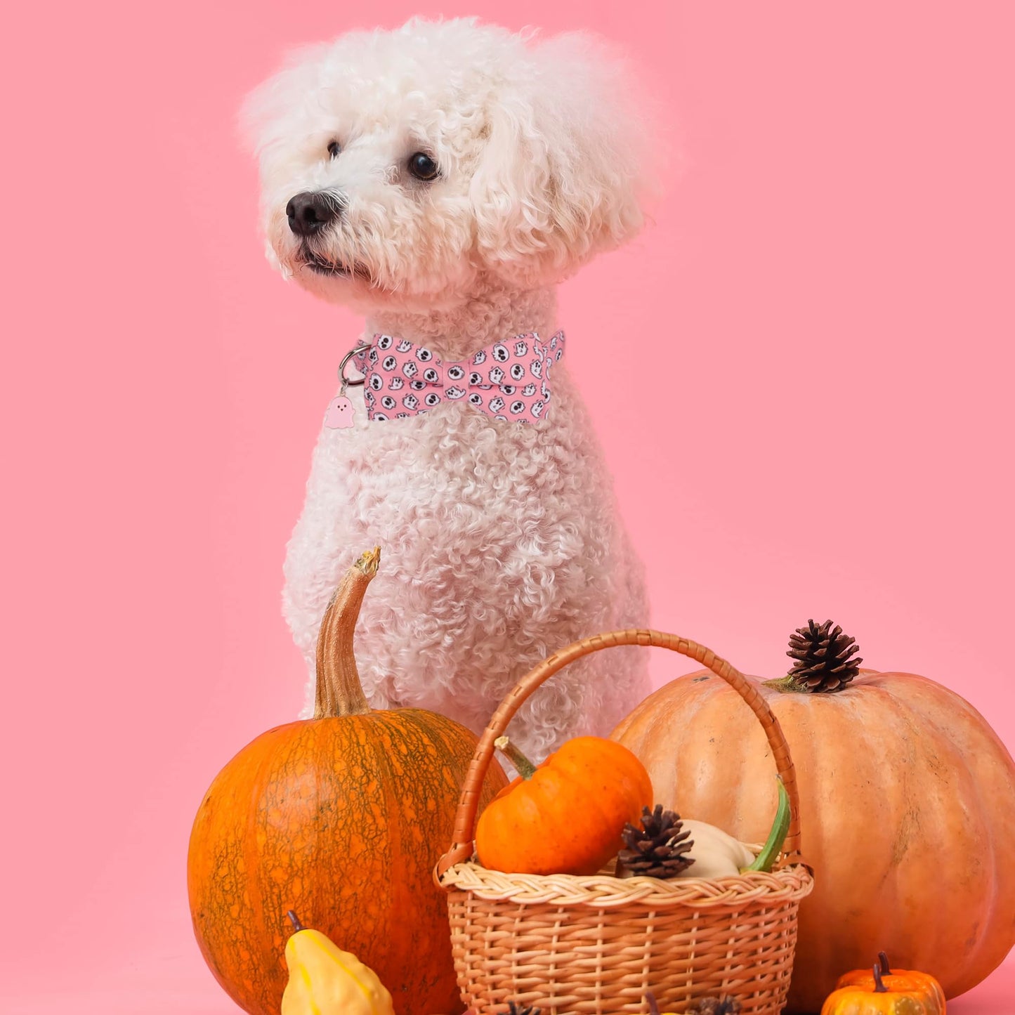 ADOGGYGO Halloween Dog Collar with Bowtie, Pink Ghost Pet Collars with Detachable Bow, Adjustable Pink Halloween Collars for Small Medium Large Dogs (Small)