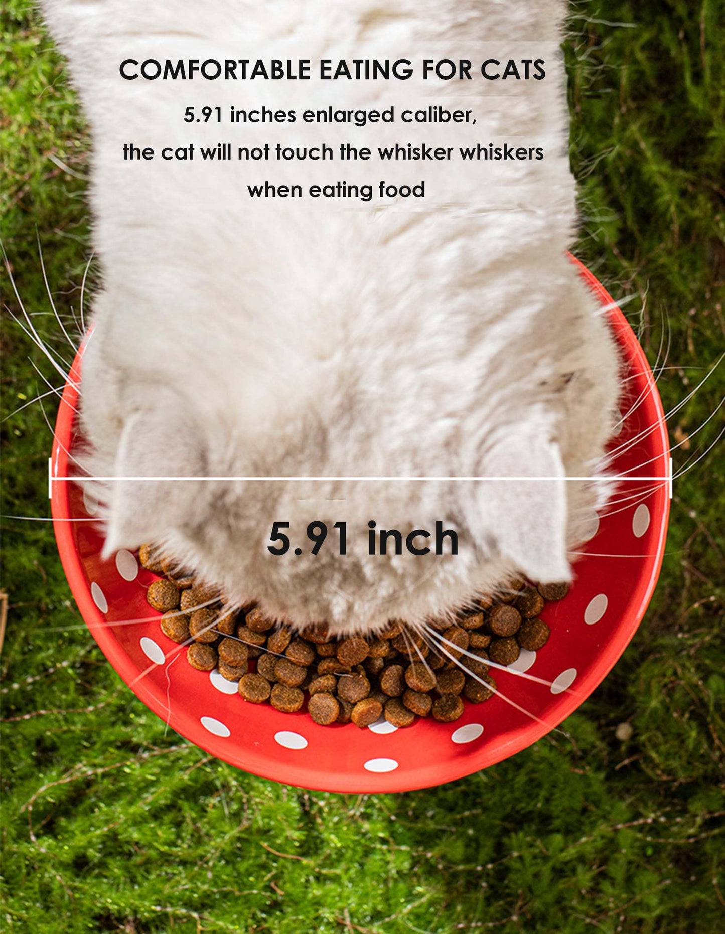 Whimsicalfox Raised Cat Bowl, Cute Mushroom Pet Feeder, Elevated Small Dog Food Bowl, Ceramic Pet Bowls for Food and Water, Wide Shallow Cat Dish, Whisker Fatigue (Black)