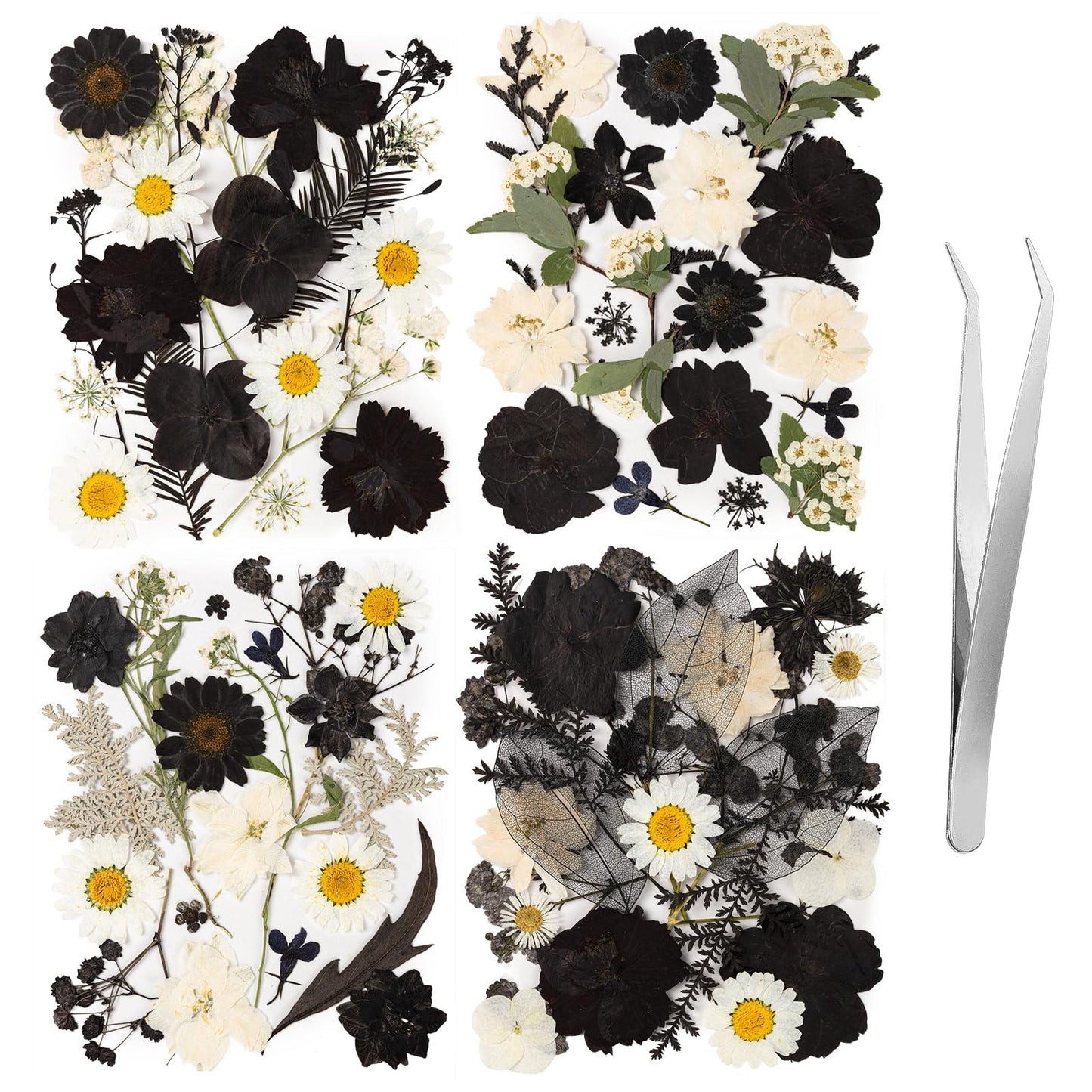 78 Pcs Black and White Dried Pressed Flowers with Tweezer, Halloween Themed Real Dried Flowers Leaves for DIY Crafts Resin Molds, Dried Flowers for Autumn Halloween Decorations