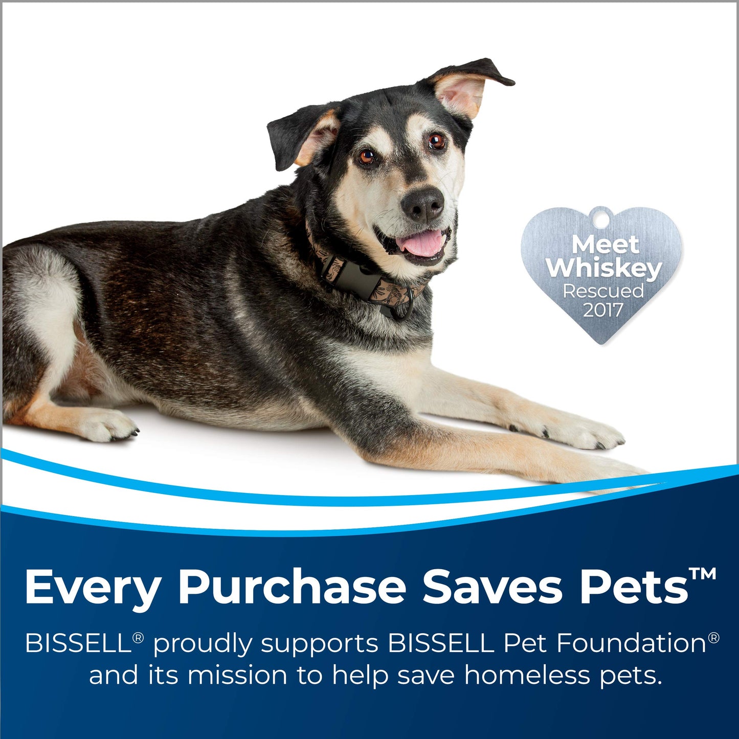 Bissell TurboClean PowerBrush Pet Carpet Cleaner, 2987