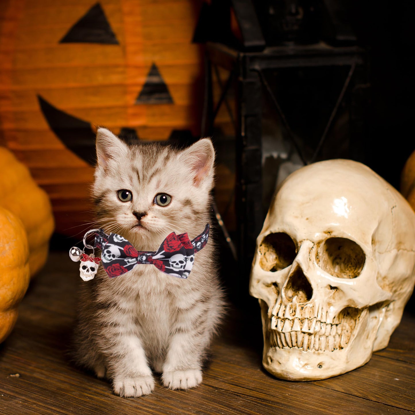ADOGGYGO Halloween Cat Collars with Bow Bell, Breakaway Kitten Bowtie Collar Spider Web Skull Halloween Collars for Girl Boy Cats Kittens