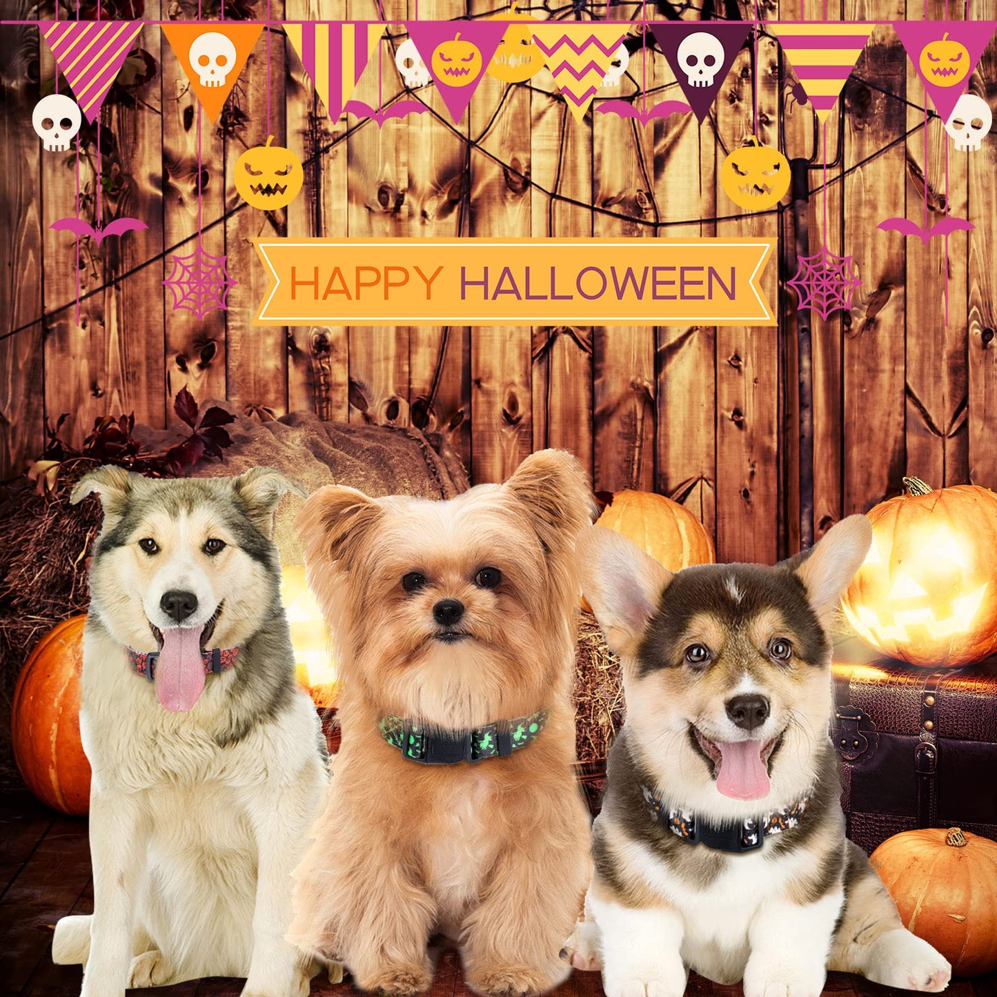 6 Pcs Halloween Dog Collars for Pumpkin Basic Adjustable Lightweight Holiday Comfortable Dog Collars with Plastic Buckle for Puppy Small Medium Large Pets(Medium)