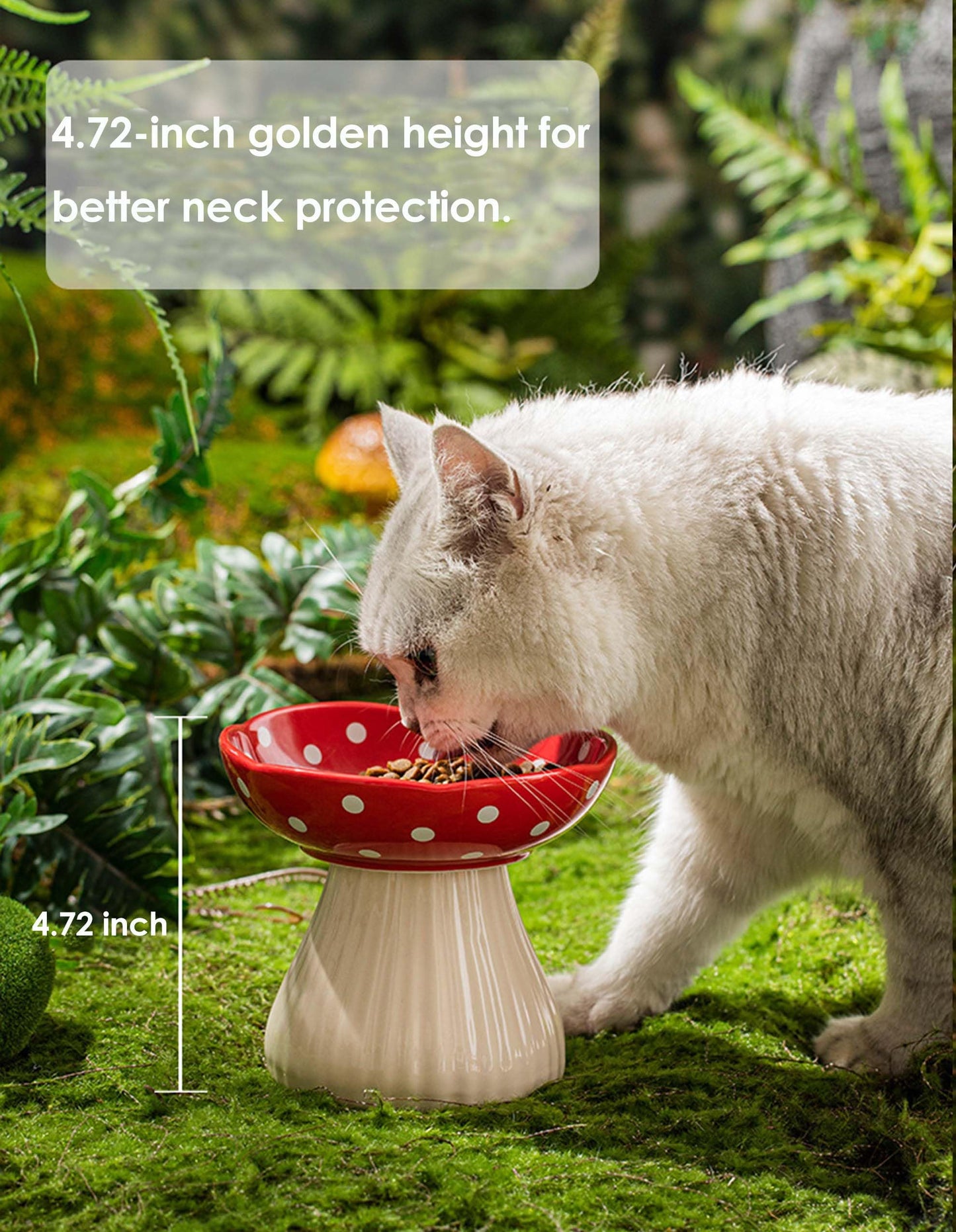 Whimsicalfox Raised Cat Bowl, Cute Mushroom Pet Feeder, Elevated Small Dog Food Bowl, Ceramic Pet Bowls for Food and Water, Wide Shallow Cat Dish, Whisker Fatigue (Black)