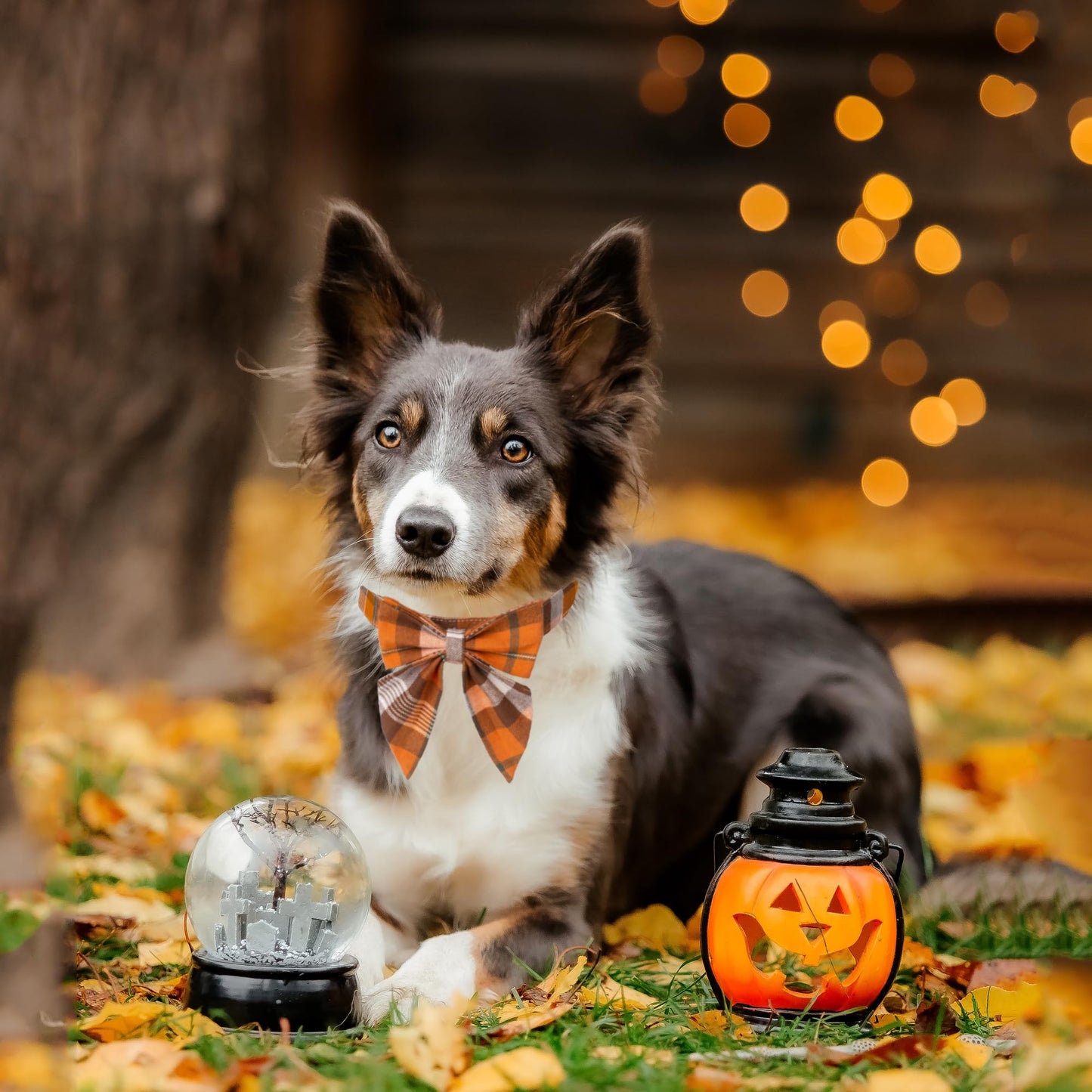 ADOGGYGO Fall Dog Collar with Bow, Halloween Thanksgiving Pet Bowtie Collar, Adjustable Cotton Orange Fall Collars for Medium Dogs Pets (Medium)