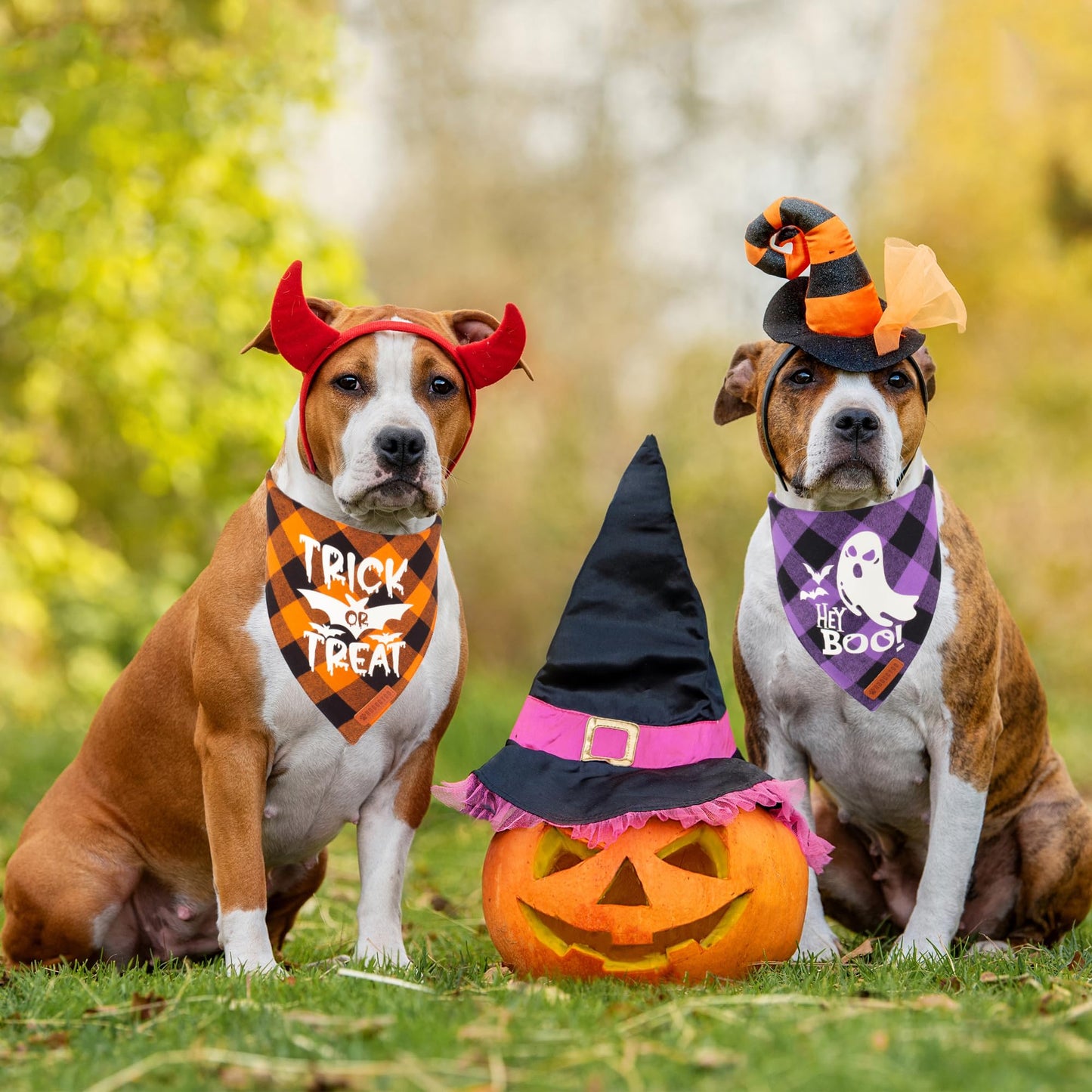 ADOGGYGO Halloween Dog Bandana Reflective Trick or Treat Boo Scarf Orange Purple Plaid Halloween Bandanas for Medium Large Dogs Pets (Large)