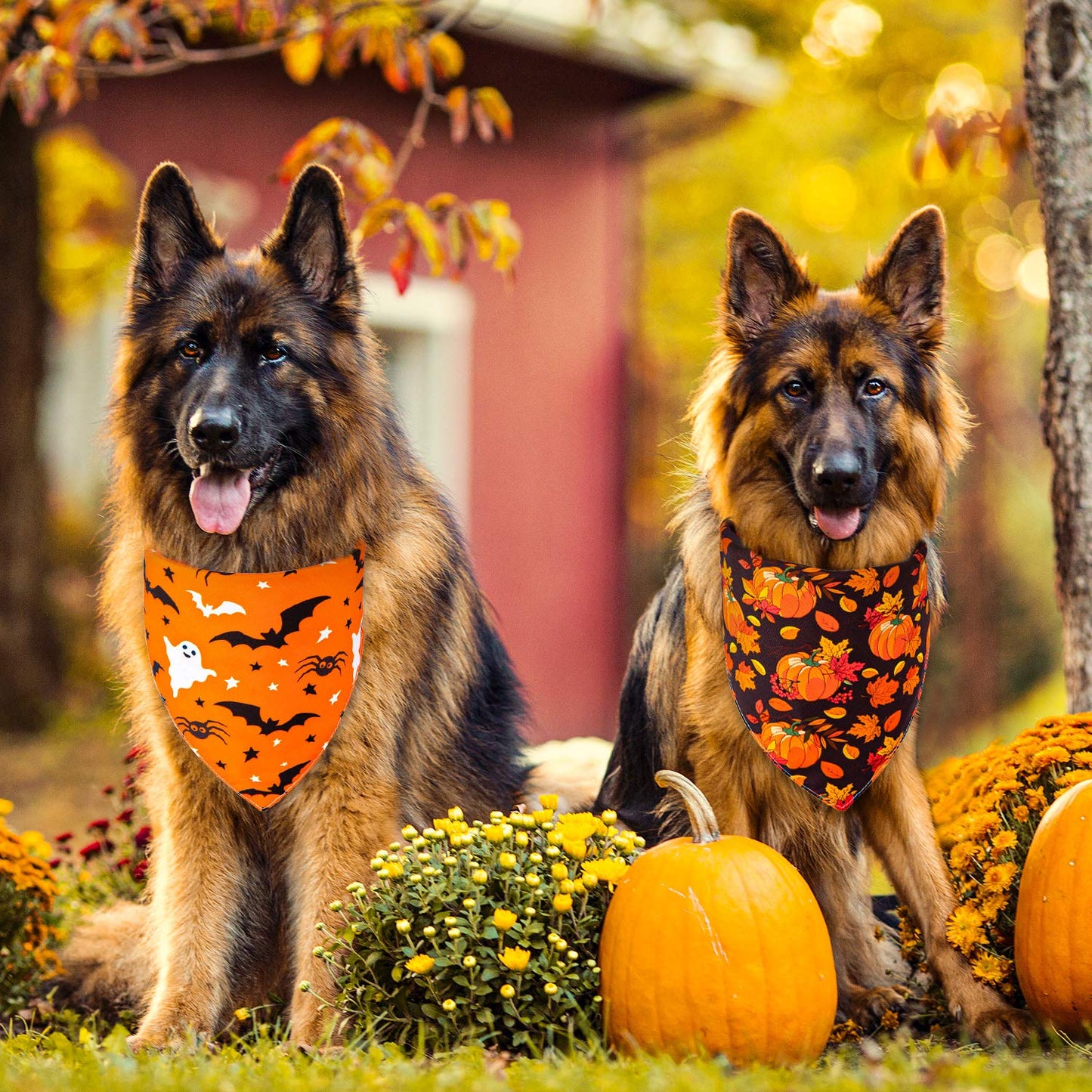 Whaline 4 Pack Fall Dog Bandanas Reversible Halloween Triangle Bibs Pumpkin Ghost Bat Pet Scarf Thanksgiving Washable Cotton Pet Neckerchief for Medium Large Pets Cats Dogs