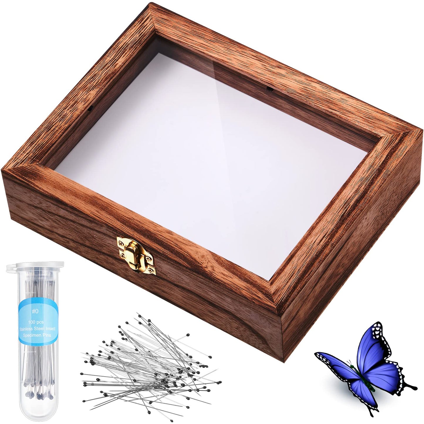 Insect Display Case Box Collection Box with Clear Top, EVA Foam Pinning Board and 100 Pieces Pins Insect Shadow Box Kit Entomology Supplies for Collecting Butterfly Specimen (Brown)