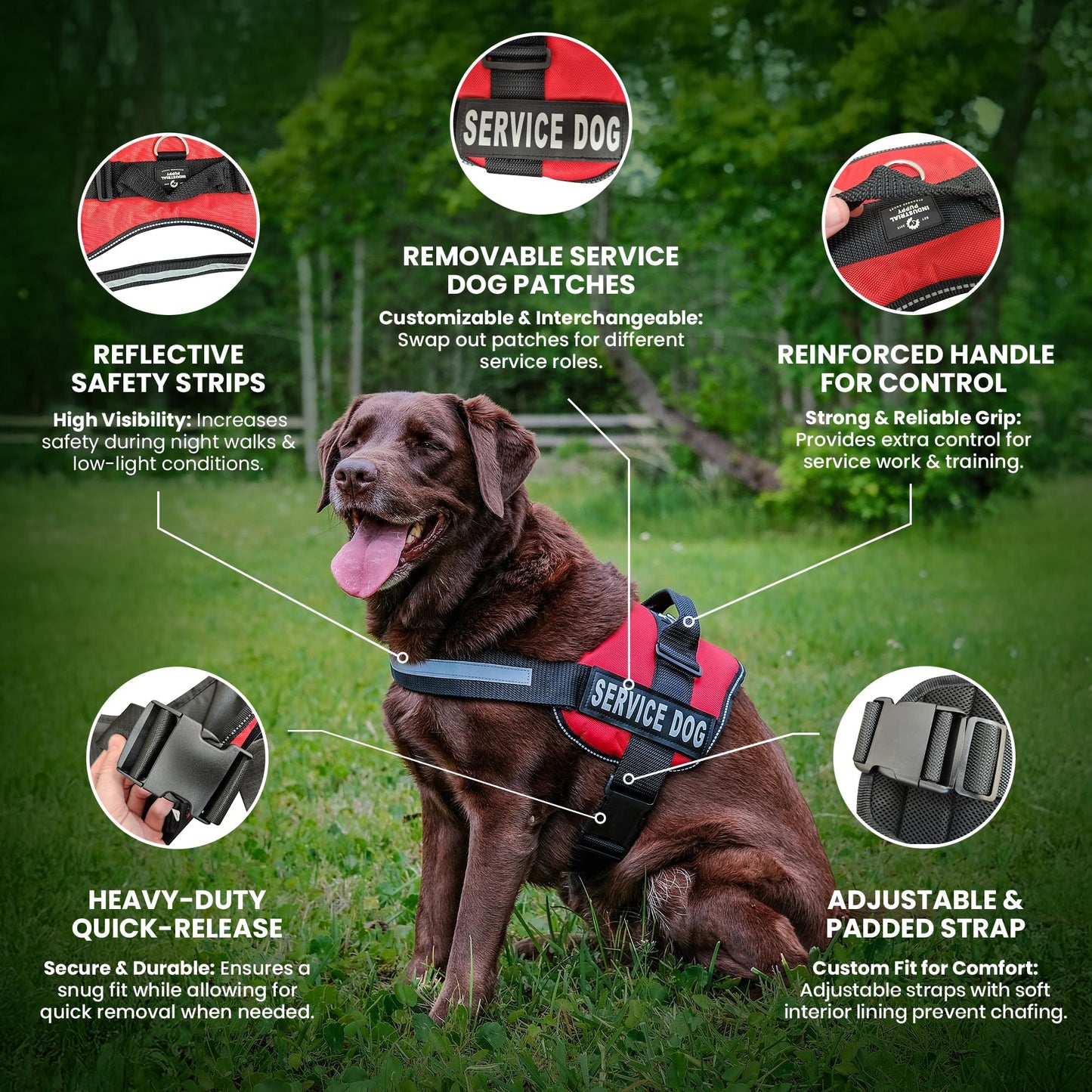 Industrial Puppy Service Dog Vest with Hook and Loop Straps & Matching Service Dog Leash Set - Harnesses from XXS to XXL - Harness Features Reflective Patch and Comfortable Mesh Design