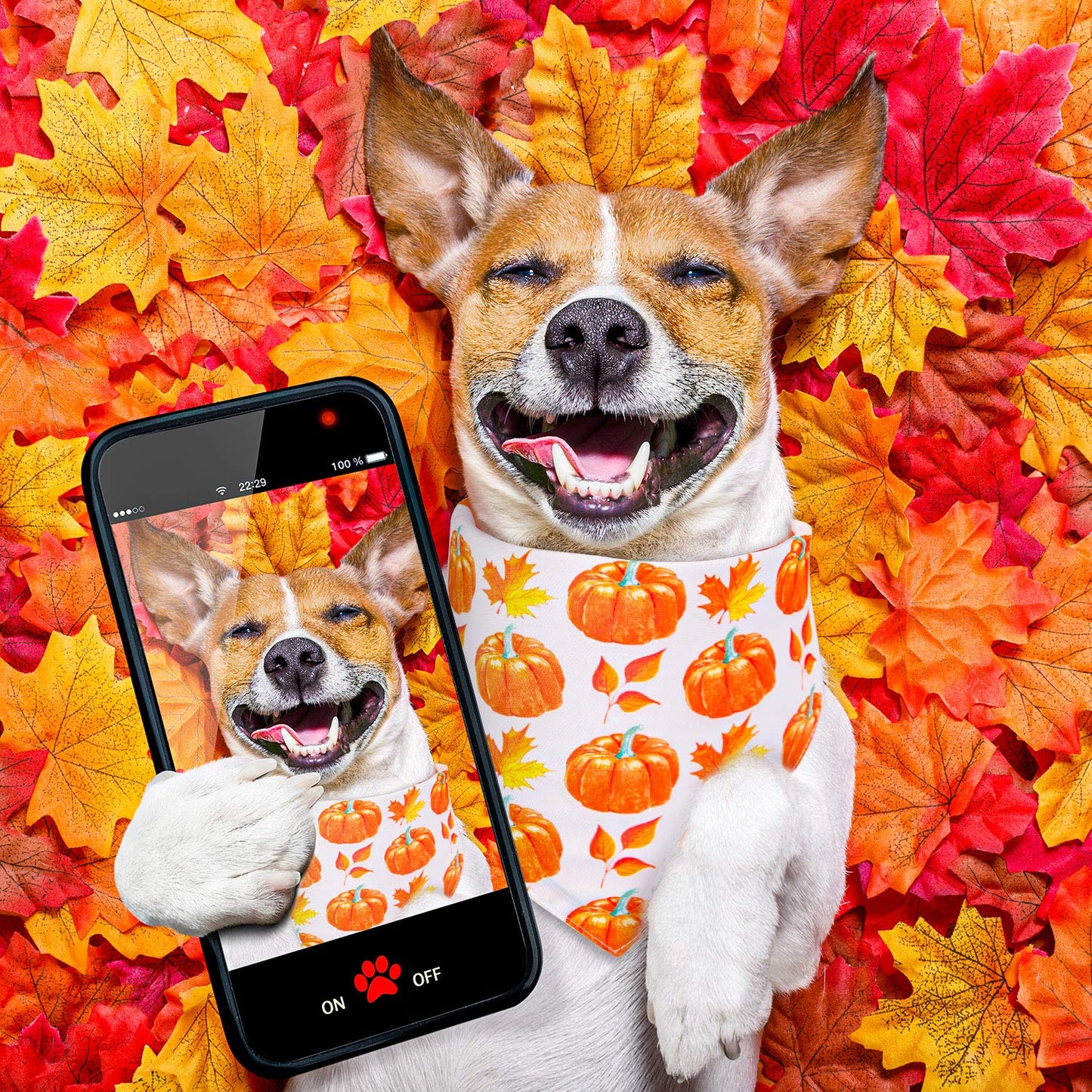 Whaline 4 Pack Fall Dog Bandanas Reversible Halloween Triangle Bibs Pumpkin Ghost Bat Pet Scarf Thanksgiving Washable Cotton Pet Neckerchief for Medium Large Pets Cats Dogs