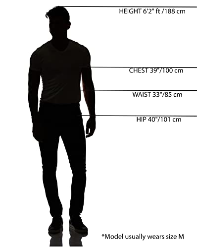 California Costumes Adult Sinister Jester Costume, Medium