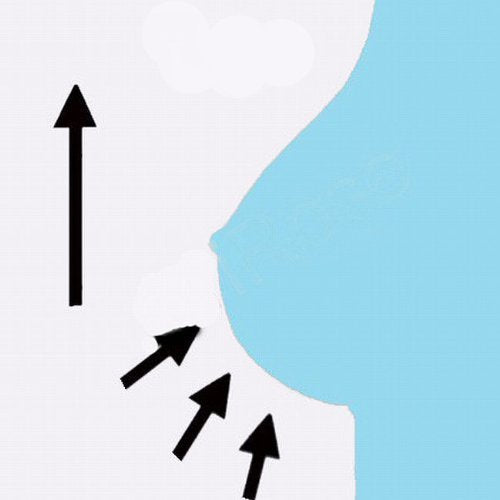 Boolavard Women's Magic Bra Shaper Vest Breast Support Dirndl Oktoberfest (S, Nude)