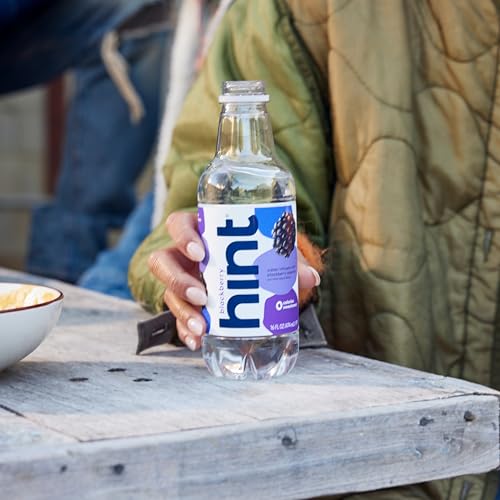 Hint Water Blackberry, Pure Water Infused with Blackberry, Zero Sugar, Zero Calories, Zero Sweeteners, Zero Preservatives, Zero Artificial Flavors, 16 Fl Oz (Pack of 12)