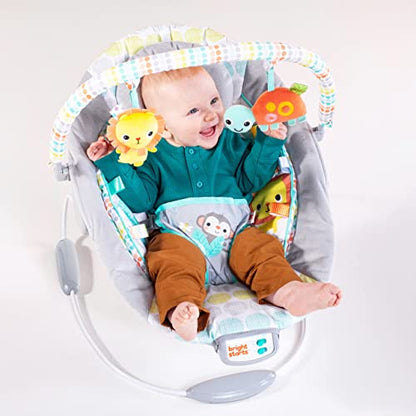 Bright Starts Comfy Baby Bouncer Soothing Vibrations Infant Seat - Taggies, Music, Removable -Toy Bar, 0-6 Months Up to 20 lbs (Whimsical Wild)