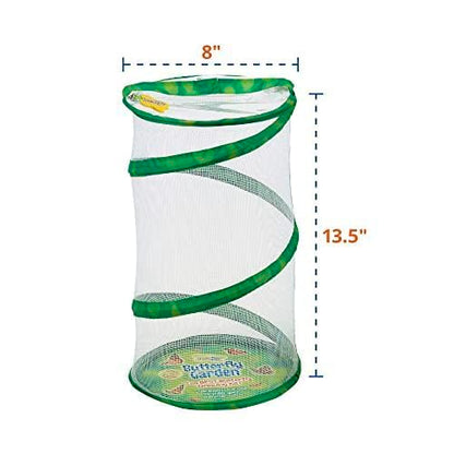 Insect Lore Butterfly Garden 8" Habitat Gift Set with 10 Live Baby Painted Lady Caterpillars - Includes Baby Caterpillars, Raising Supplies, 3D Butterfly Stickers and Butterfly Wind-up Toy