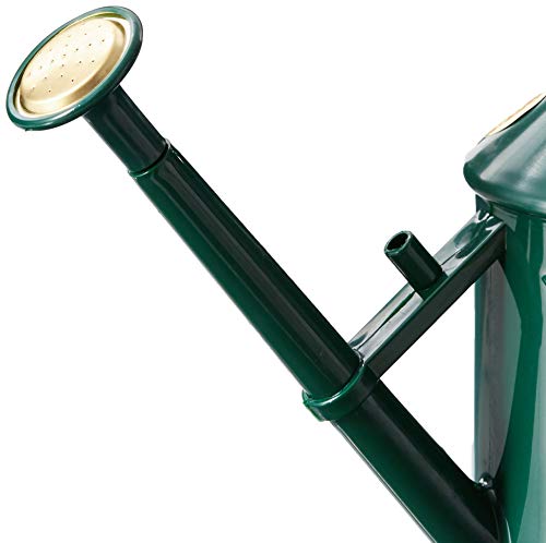 Indoor Plastic Watering Can | The HAWS The Bartley Burbler - Two Pint | Pot Waterer | Fine Spray Rose - Green