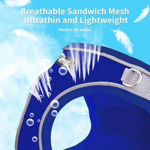 AIITLE Step in Dog Harness and Leash Set - Summer No Pull Escape Proof Vest Harnesses with Soft Mesh and Reflective Bands, Adjustable Pet Outdoor Harnesses for Small and Medium Dogs Royal Blue M