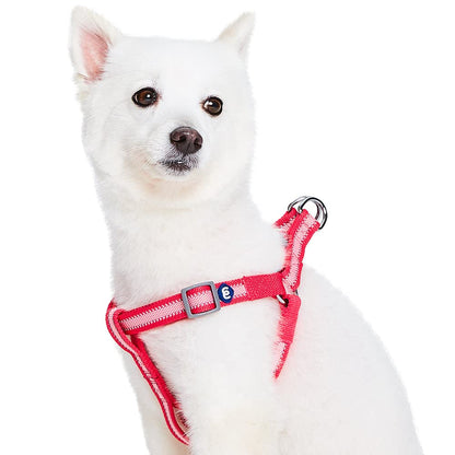 Blueberry Pet Essentials Step-in Reflective Back to Basics Dog Harness, French Pink, Chest Girth 16.5" - 21.5", Small, Adjustable Harnesses for Dogs