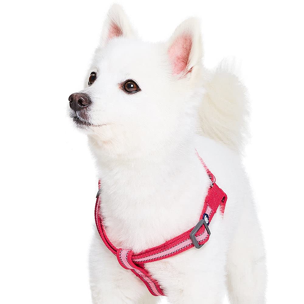 Blueberry Pet Essentials Step-in Reflective Back to Basics Dog Harness, French Pink, Chest Girth 16.5" - 21.5", Small, Adjustable Harnesses for Dogs