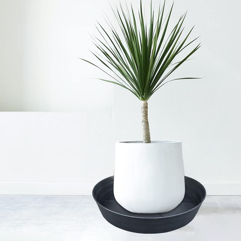 25 Inch Extra Large Planter Saucer, Extra-Deep 4.25 in Black Drip Trays for Flower Pot, Heavy Duty Drainage Tray Indoors No Holes, Plastic Plant Plate Water Catcher for Pots Base 19 20 21 22 in