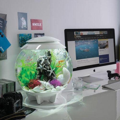 biOrb Halo 15 Acrylic 4-Gallon Aquarium with Multi-Color Remote-Controlled LED Lights Modern Compact Tank for Tabletop or Desktop Display, White
