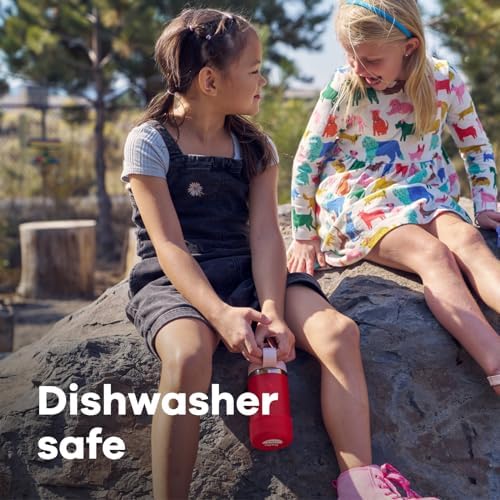 Hydro Flask 12 Oz Kids Wide Mouth Straw Cap and Boot Anemone