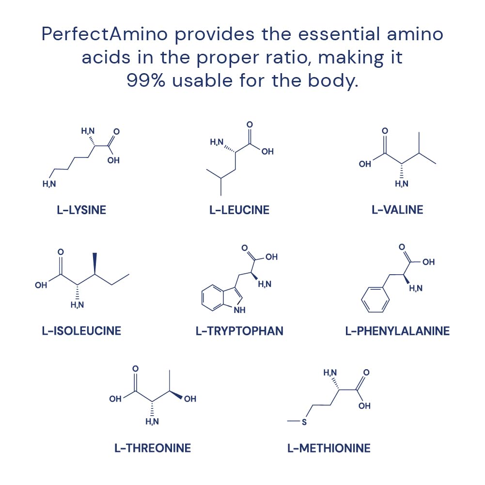 BodyHealth PerfectAmino (150 ct) Easy to Swallow Tablets, Essential Amino Acids Supplement with BCAAs, Vegan Protein for Pre/Post Workout & Muscle Recovery with Lysine, Tryptophan, Leucine, Methionine