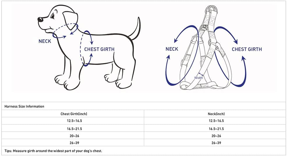 Blueberry Pet Essentials Step-in Reflective Back to Basics Dog Harness, French Pink, Chest Girth 16.5" - 21.5", Small, Adjustable Harnesses for Dogs