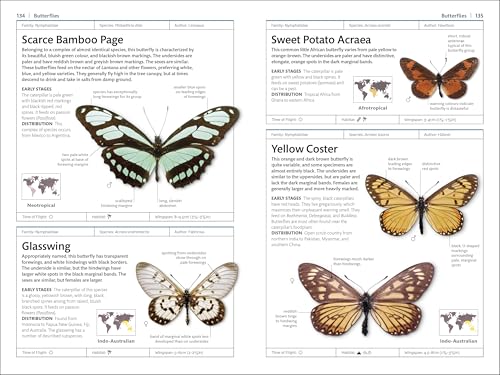 Butterflies and Moths (DK Smithsonian Handbook)