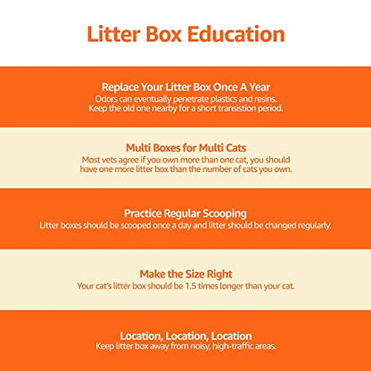 Amazon Basics No-Mess Hooded Cat Litter Box, Standard, Multicolor, 21 in x 16 in x 15 in