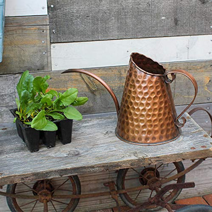 Achla Designs Dainty Hammered Copper Watering Can, 3 Pint