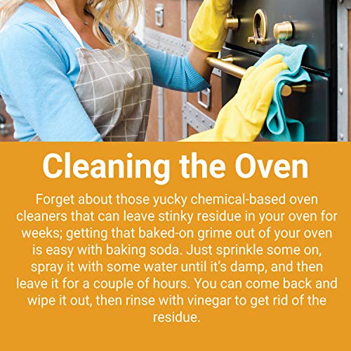 Arm & Hammer Fridge Fresh Refrigerator Air Filter