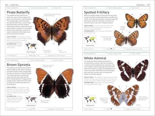 Butterflies and Moths (DK Smithsonian Handbook)