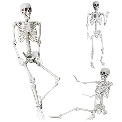 Wocst 5.4Ft/165cm Halloween Skeleton Full Body Life Size Human Bones with Movable Joints for Indoor Outdoor Halloween Props Decorations