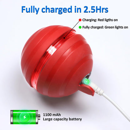 BENTOPAL Interactive Dog Balls with Motion Activated, Wicked Ball Squeaky Dog Toy Oxford Bag Keep Dogs Busy (Red Ball)