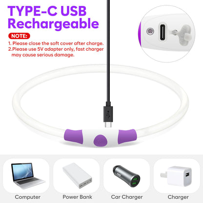 HIGO Light Up Dog Collar, LED Dog Collar for Night Safety with 3 Modes, Type-C Rechargeable & Adjustable TPU Material for Small Medium Large Dogs (Purple)